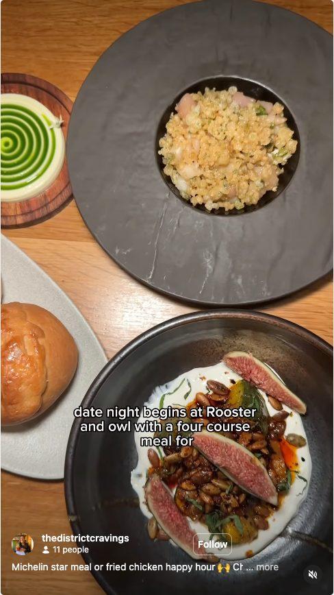 Rooster & Owl