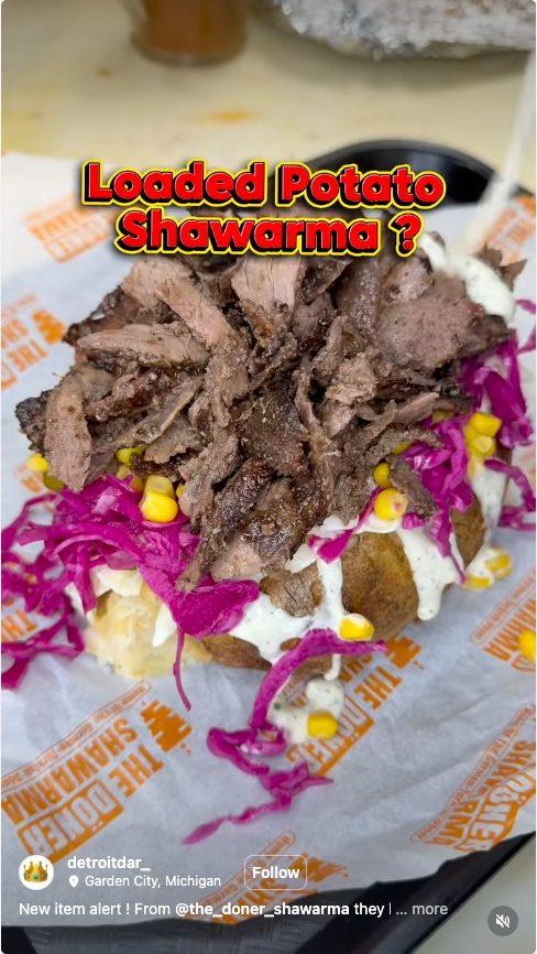 The Doner Shawarma
