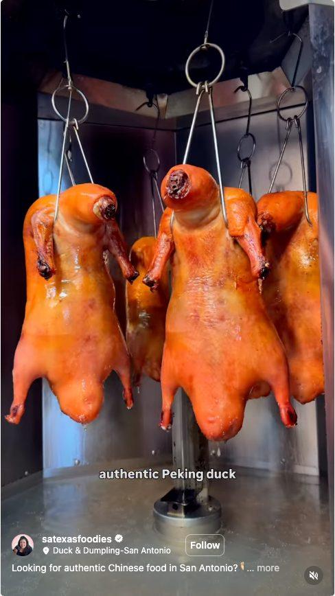 Duck & Dumpling