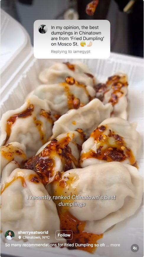 Fried Dumpling