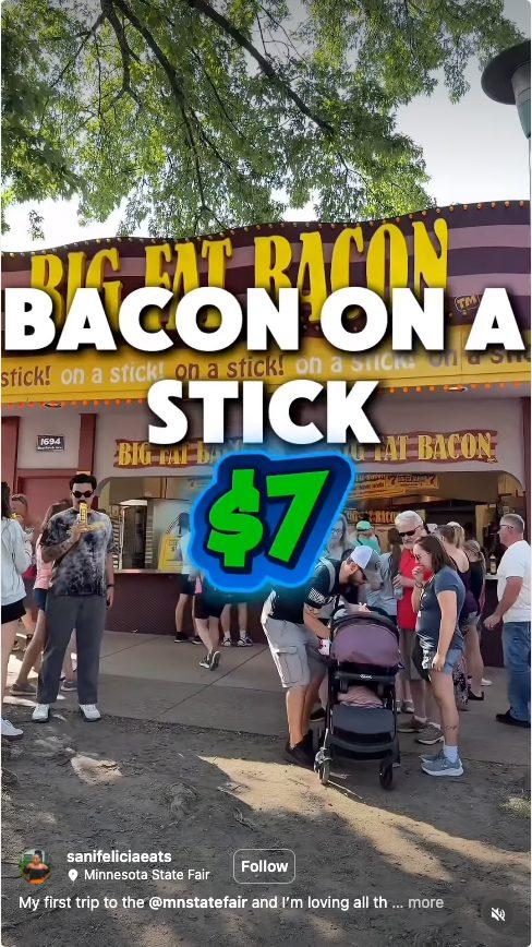 Minnesota State Fair
