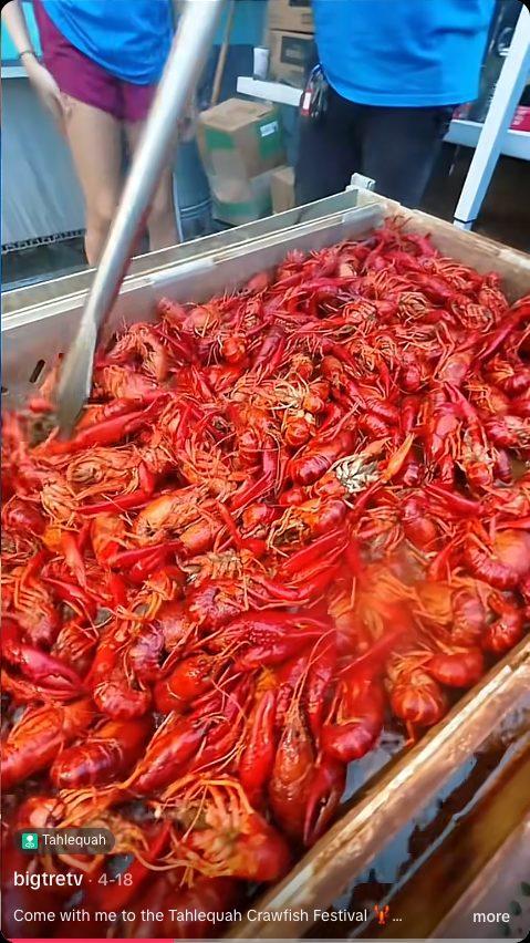 Lenny Bros Cronen Bears Crawfish Festival